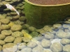 20160525_133746