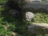 20160525_162114
